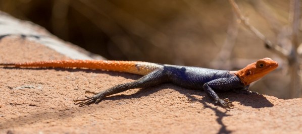 AD1A5066Final 7D Mk2