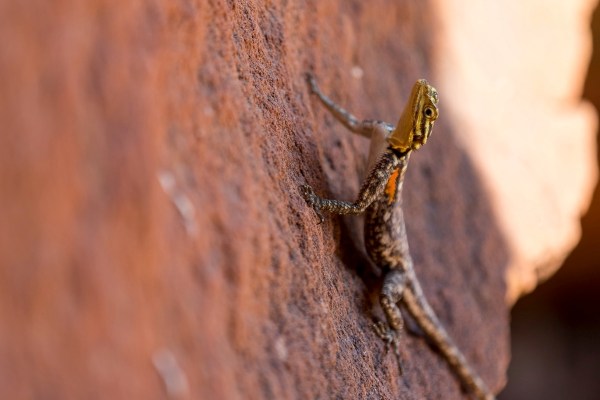 AD1A5069Final 7D Mk2