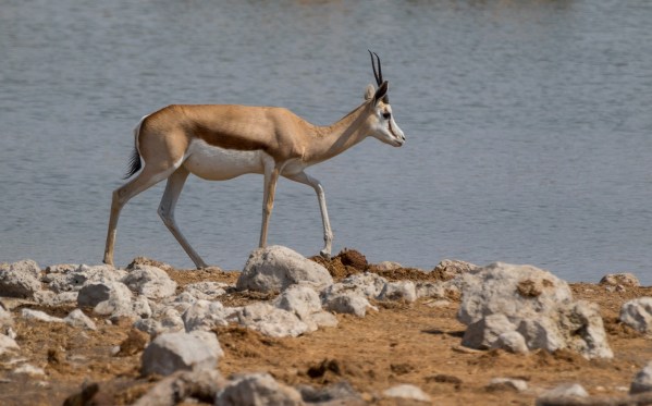 AD1A5077Final 7D Mk2