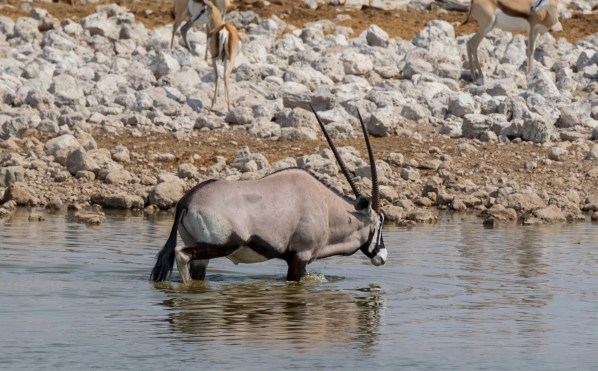 AD1A5085Final 7D Mk2