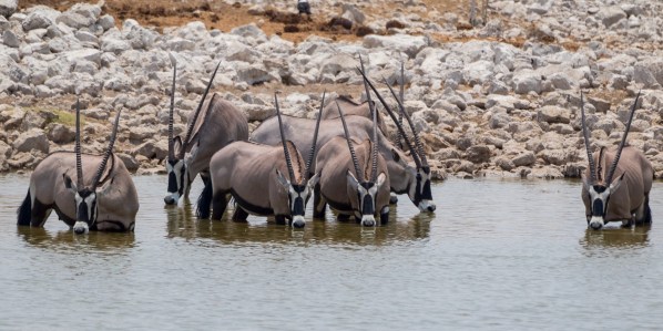 AD1A5135Final 7D Mk2