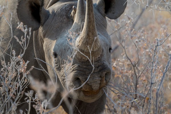 AD1A5149Final 7D Mk2