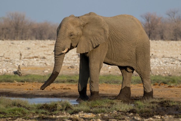 AD1A5163Final 7D Mk2