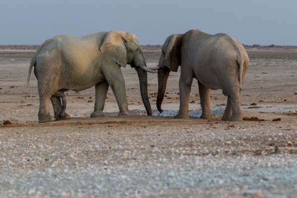 AD1A5175Final 7D Mk2