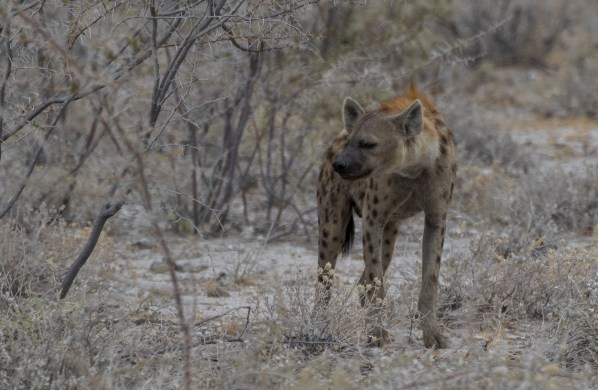 AD1A5214Final 7D Mk2