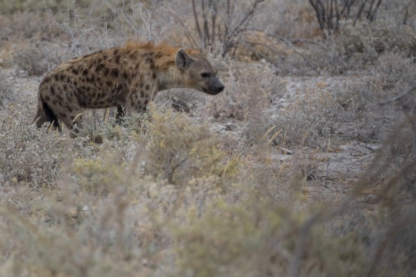 AD1A5215Final-7D-Mk2.jpg AD1A5215Final 7D Mk2