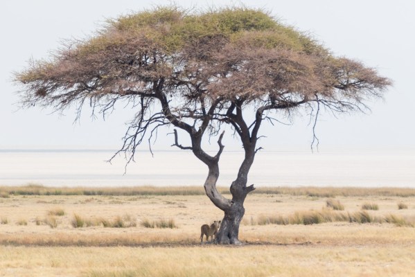 AD1A5242Final 7D Mk2