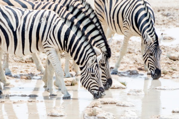 AD1A5262Final 7D Mk2