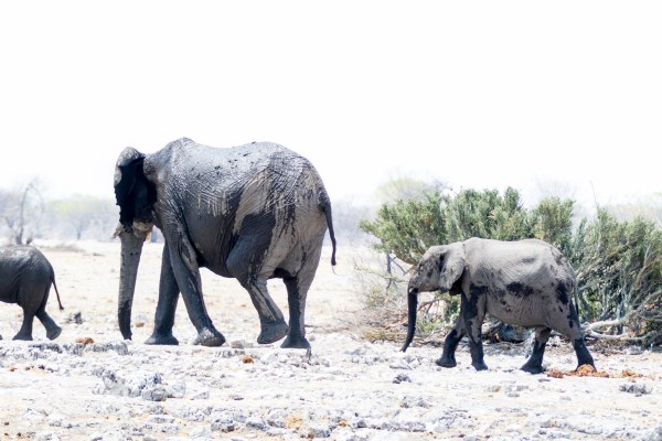 AD1A5275Final 7D Mk2