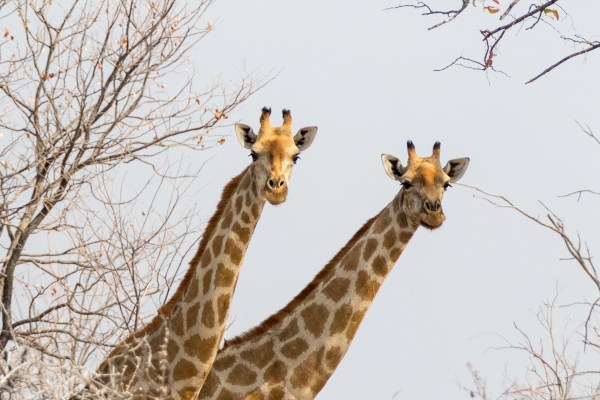 AD1A5302Final-7D-Mk2.jpg AD1A5302Final 7D Mk2