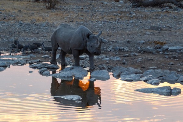 AD1A5314Final 7D Mk2