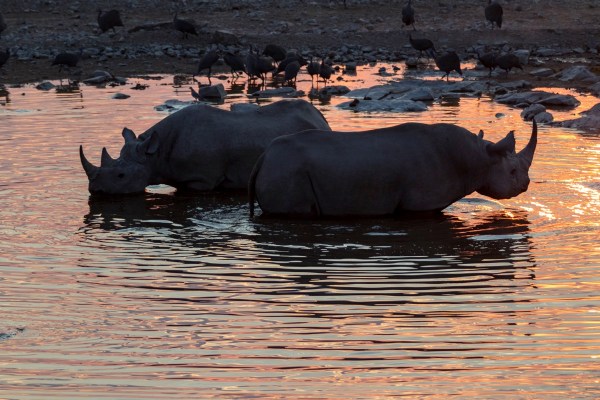 AD1A5324Final 7D Mk2