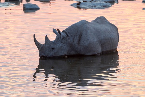 AD1A5333Final 7D Mk2