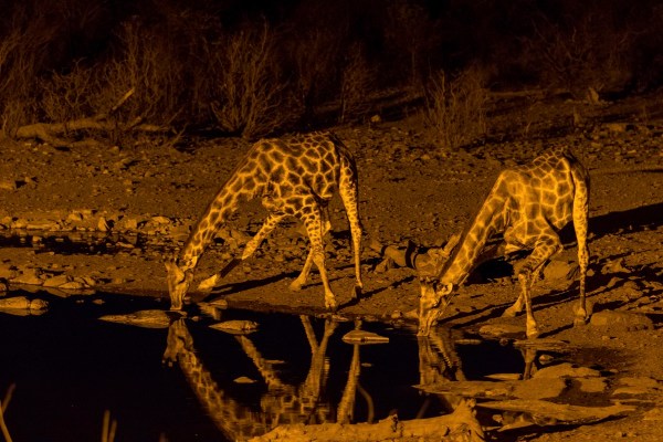 AD1A5364Final 7D Mk2