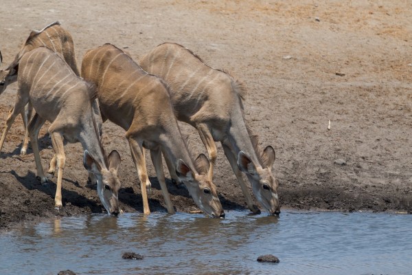 AD1A5422Final 7D Mk2