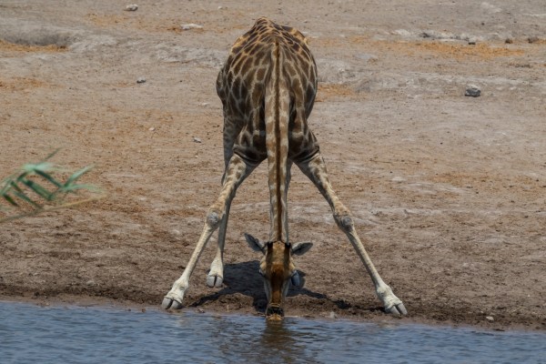 AD1A5431Final 7D Mk2