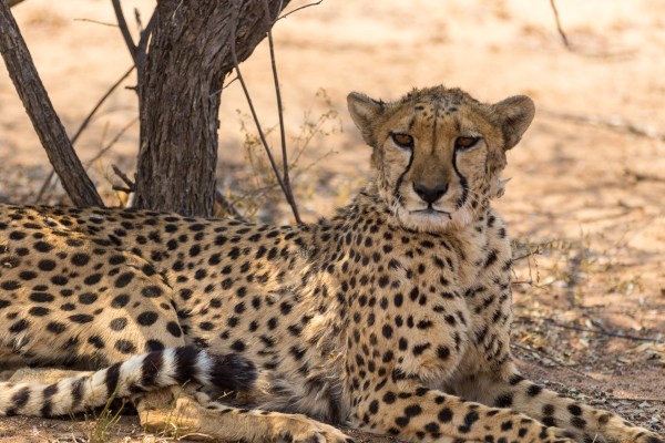 AD1A5481Final 7D Mk2