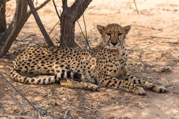 AD1A5482Final-7D-Mk2.jpg AD1A5482Final 7D Mk2