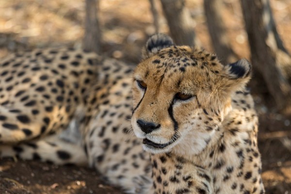 AD1A5491Final 7D Mk2