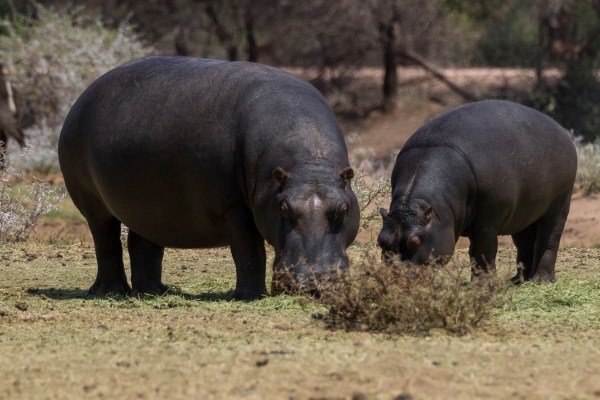 AD1A5517Final 7D Mk2