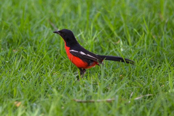 AD1A5533Final 7D Mk2