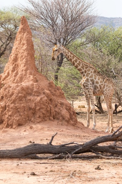 AD1A5535Final 7D Mk2