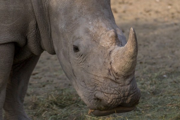 AD1A5560Final 7D Mk2