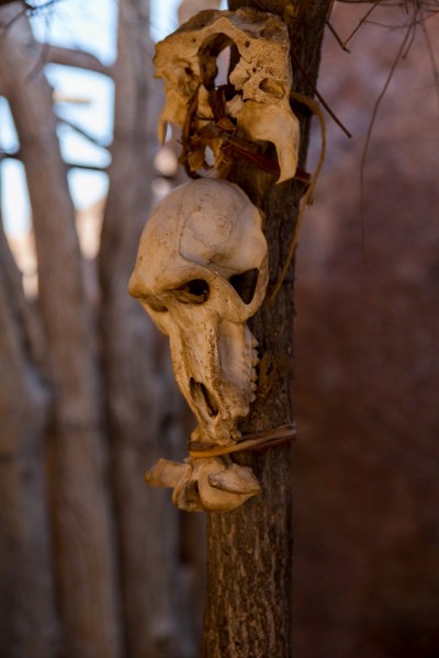 IMG 2181Final 5D Mk3