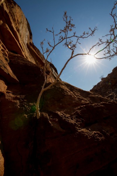 IMG 2300Final 5D Mk3