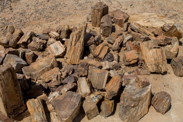 IMG 2308Final 5D Mk3