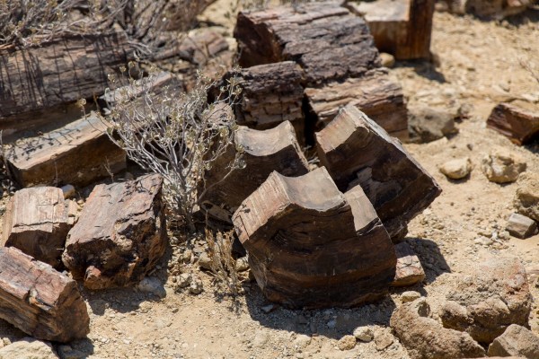 IMG 2340Final 5D Mk3