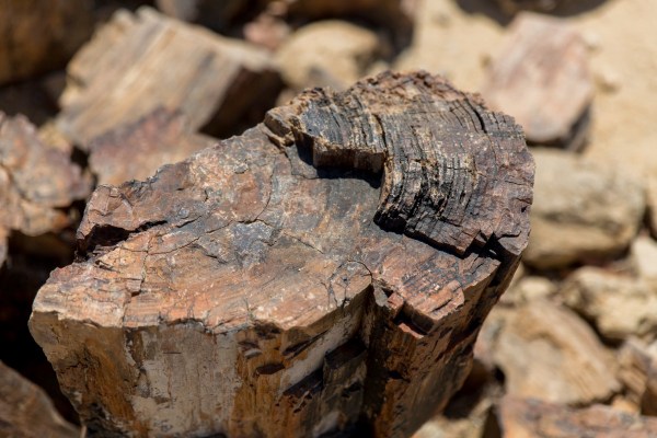 IMG 2341Final 5D Mk3