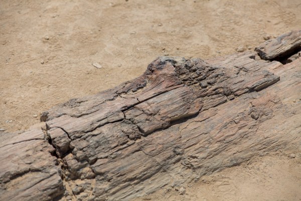 IMG 2343Final 5D Mk3