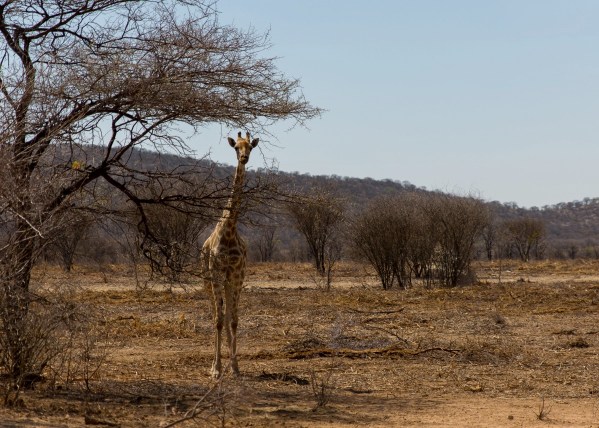 IMG 2378Final 5D Mk3