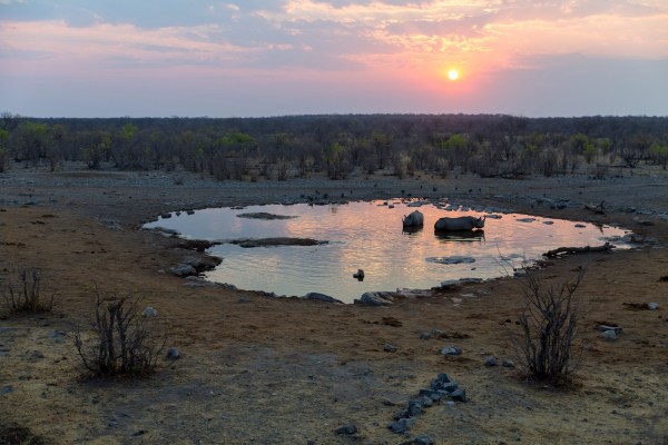 IMG 2453Final 5D Mk3