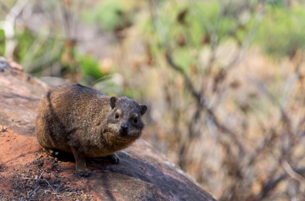 IMG 2580Final 5D Mk3