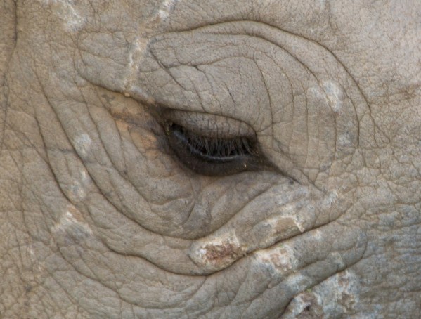 IMG 2616Final 5D Mk3