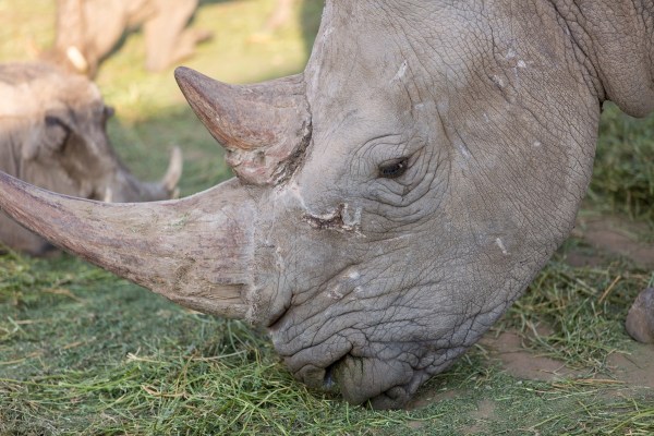 IMG 2632Final 5D Mk3