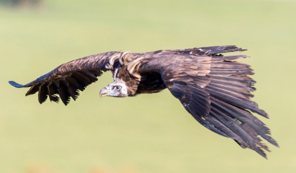 Guttenberg 5808Final 7D Mk2