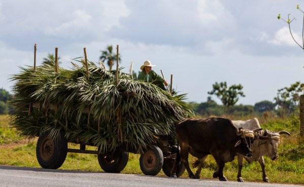 Kuba 5262Final 5D Mk3