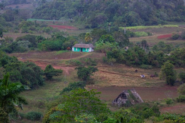 Kuba 5310Final 5D Mk3