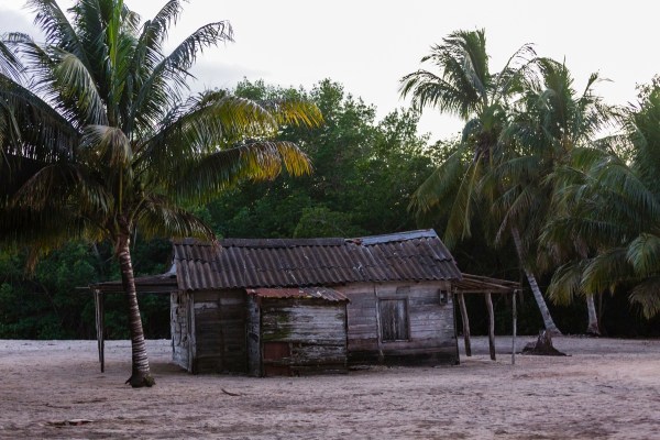 Kuba 5506Final 5D Mk3