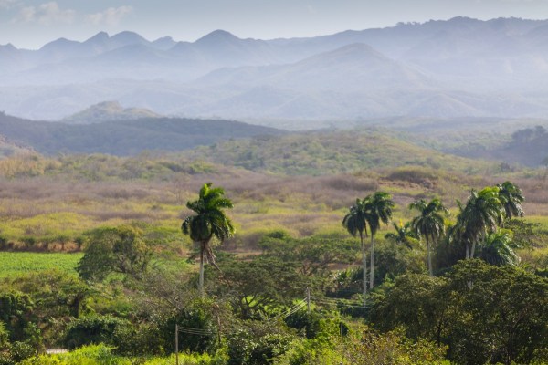 Kuba 5645Final 5D Mk3