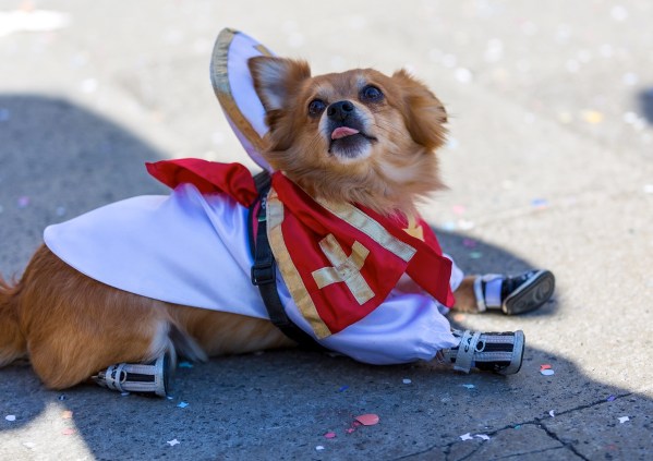 Venedig 6405Final 5D Mk3