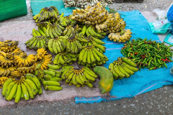 Laos Vietnam 5D 7582 Final