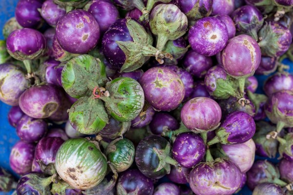 Laos Vietnam 5D 7594 Final