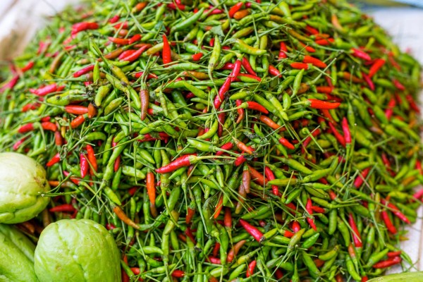 Laos Vietnam 5D 7598 Final