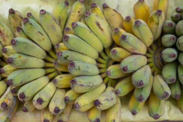 Laos Vietnam 5D 7604 Final