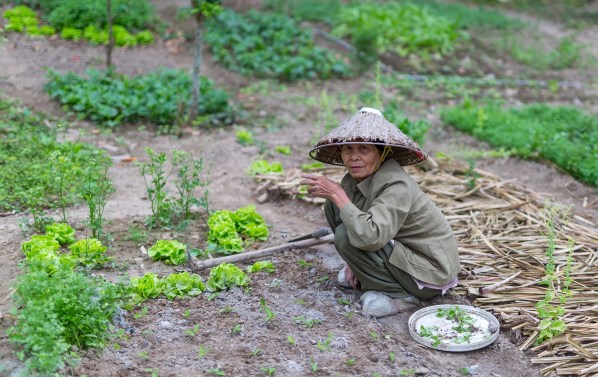 Laos Vietnam 5D 7850 Final 2