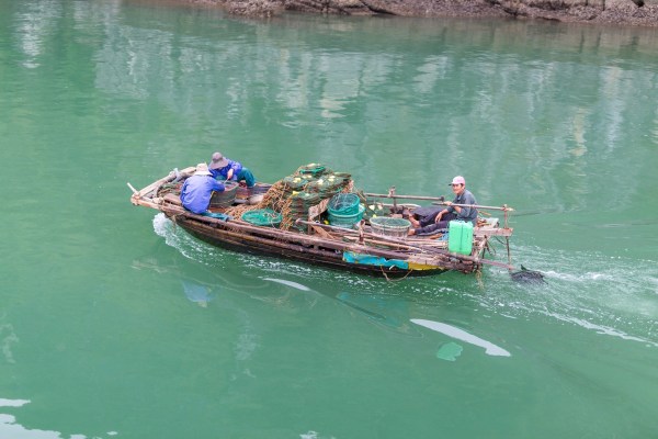 Laos Vietnam 5D 7944 Final